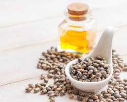 Castor Oil