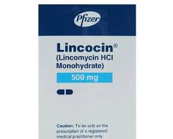 Lincomycin 500Mg